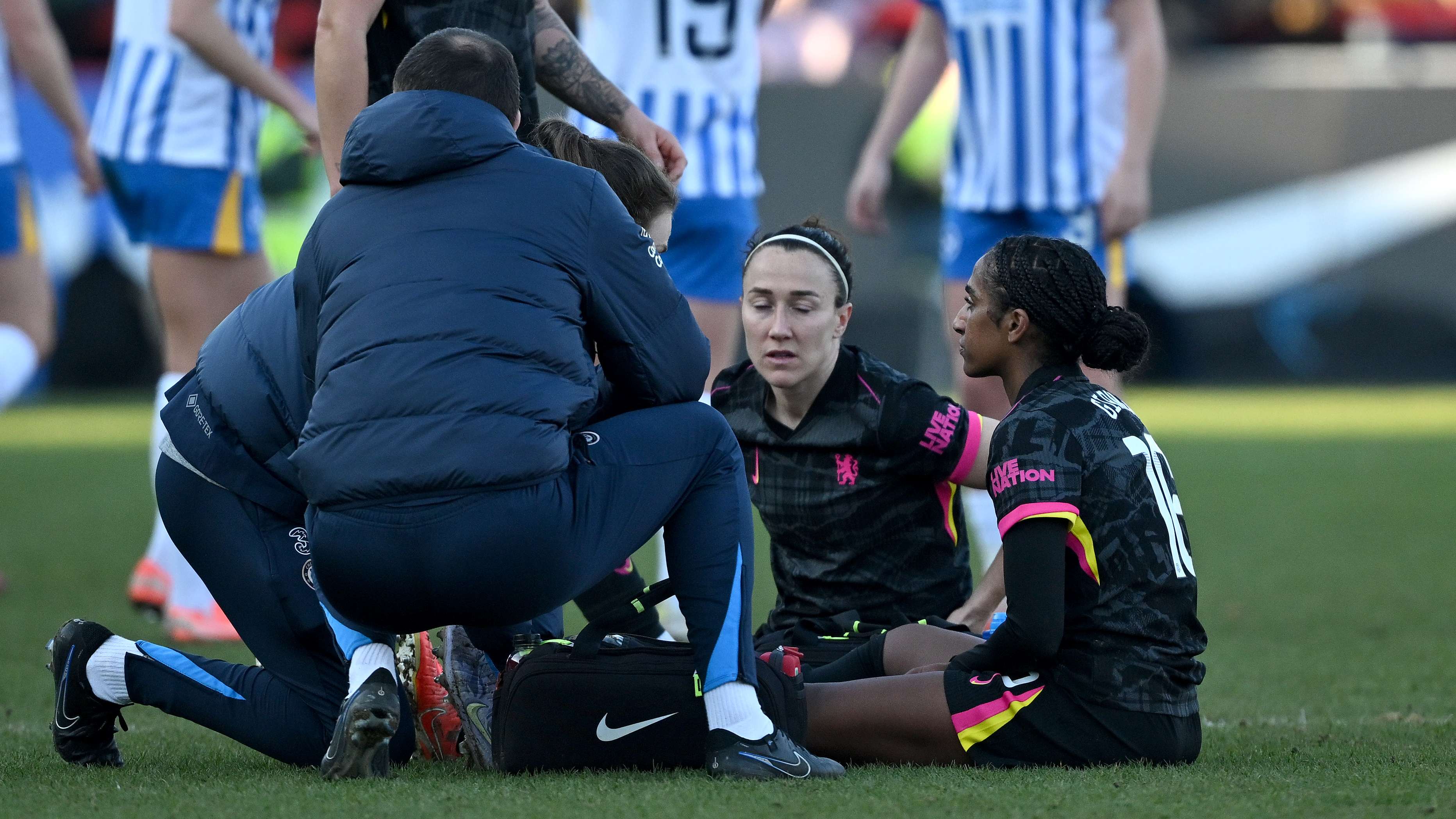 理解团队协 理解团队协